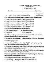 Đề kiểm tra 45 phút môn Sinh học Lớp 11 - Đề 2 - Năm học 2018-2019